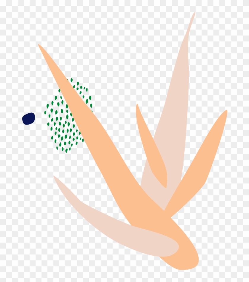 Aloe Vera - Construction Paper Clipart #2649964