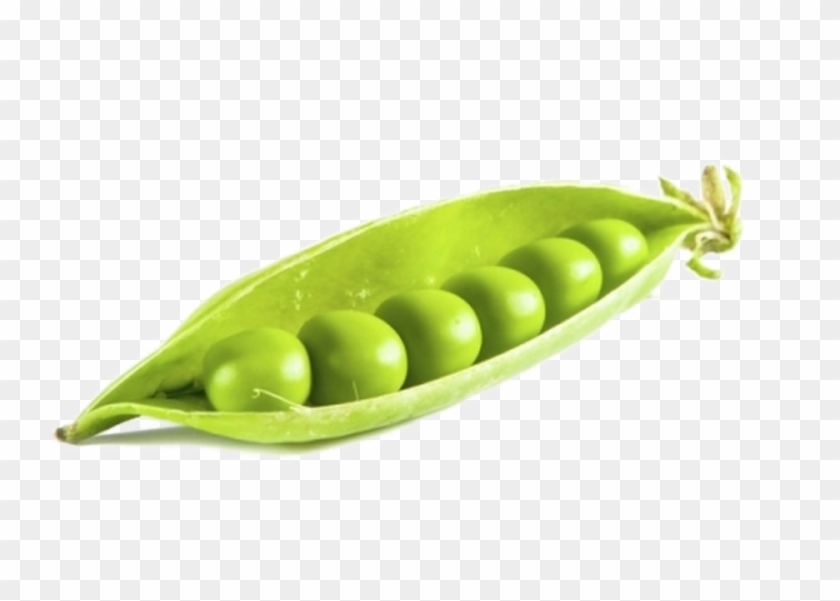 Pea Png Background Image - Imagen De Peas Clipart