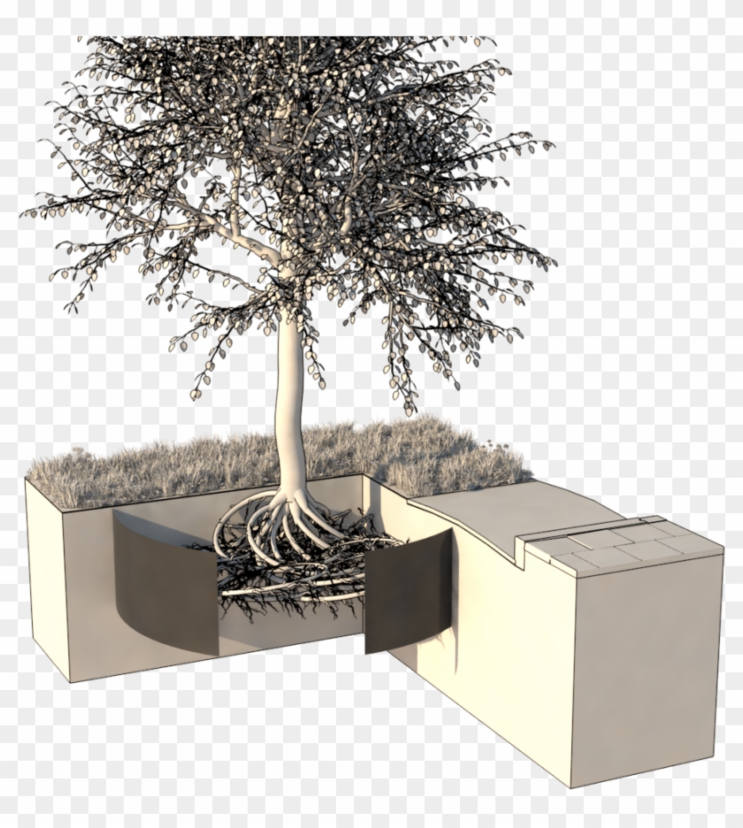 Ribs Prevent The Roots From Growing Within The Cylinder - Bonsai Clipart #2650642