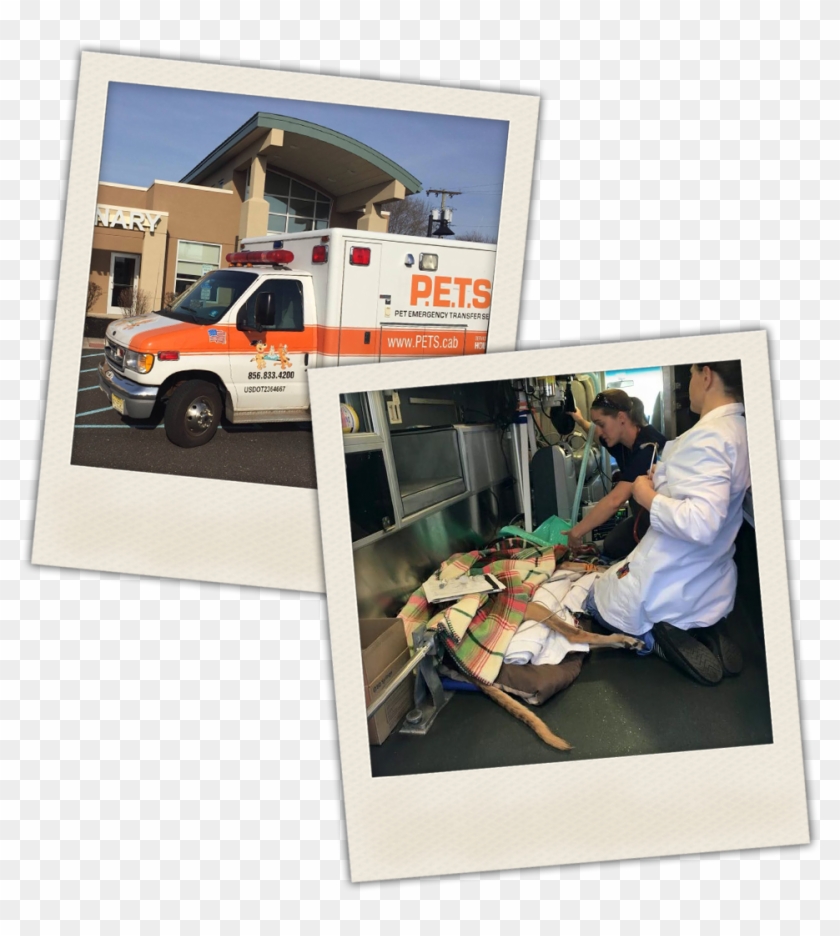 Pet Emergency Transfer Service - House Clipart