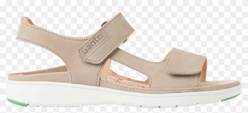 Gina - Sandal Clipart