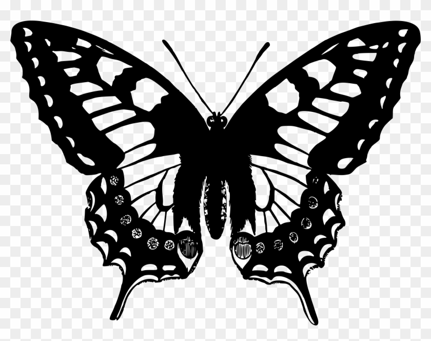 Vector Laces Butterfly - Swallowtail Butterfly Drawing Clipart #2653651