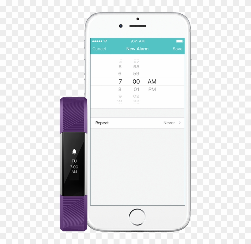 Shed Light On Every Night - Smartphone Clipart