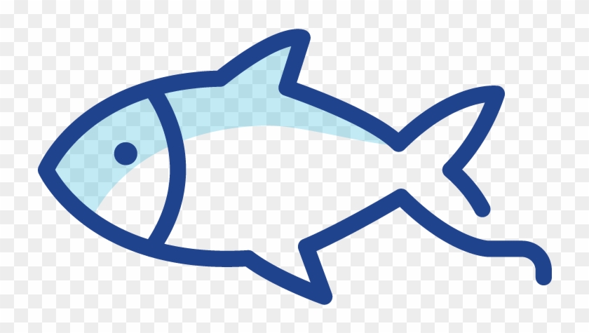 Fish Species - Coral Reef Fish Clipart #2655315