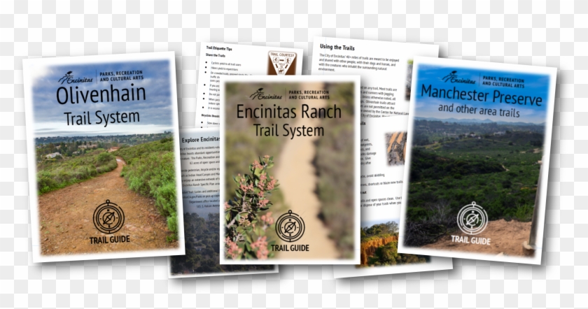 Trail Guides And Maps - Thuya Clipart