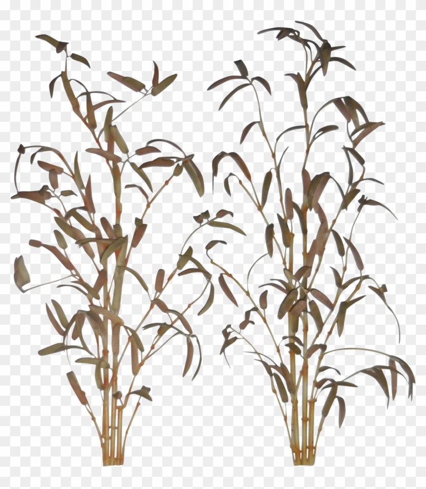 2791 X 3214 6 0 - Bamboo Wall Art Png Clipart #2657199