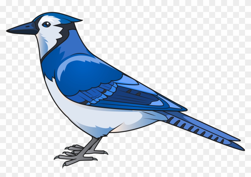8000 X 5325 13 - Blue Bird Clipart Png Transparent Png