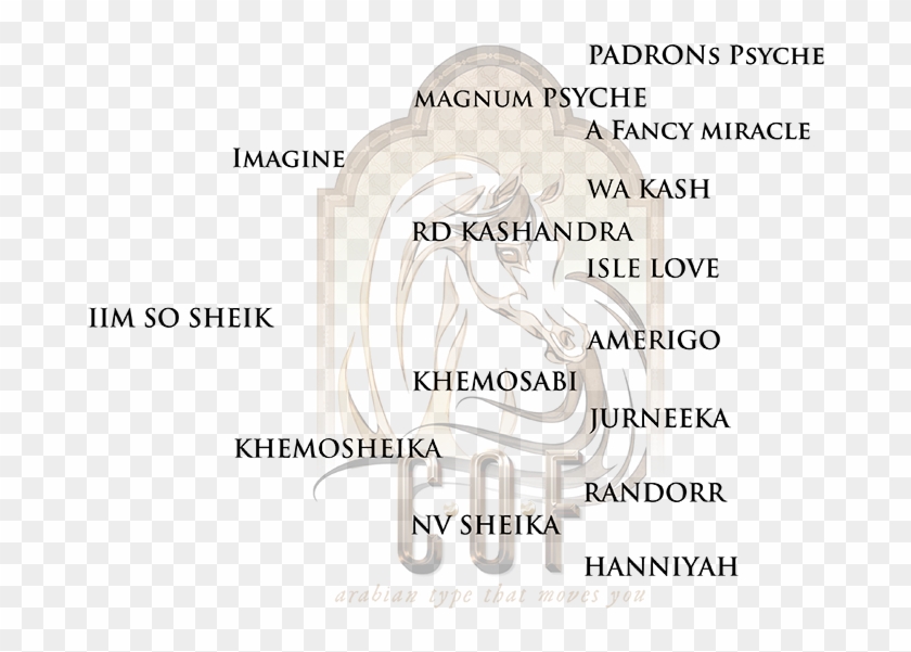 Sheik Pedigree - Circle Clipart