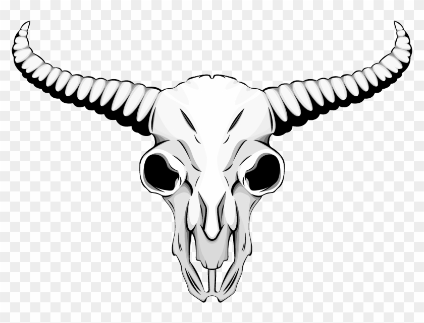 Skull , Png Download - Drawing Of Animal Skulls Clipart