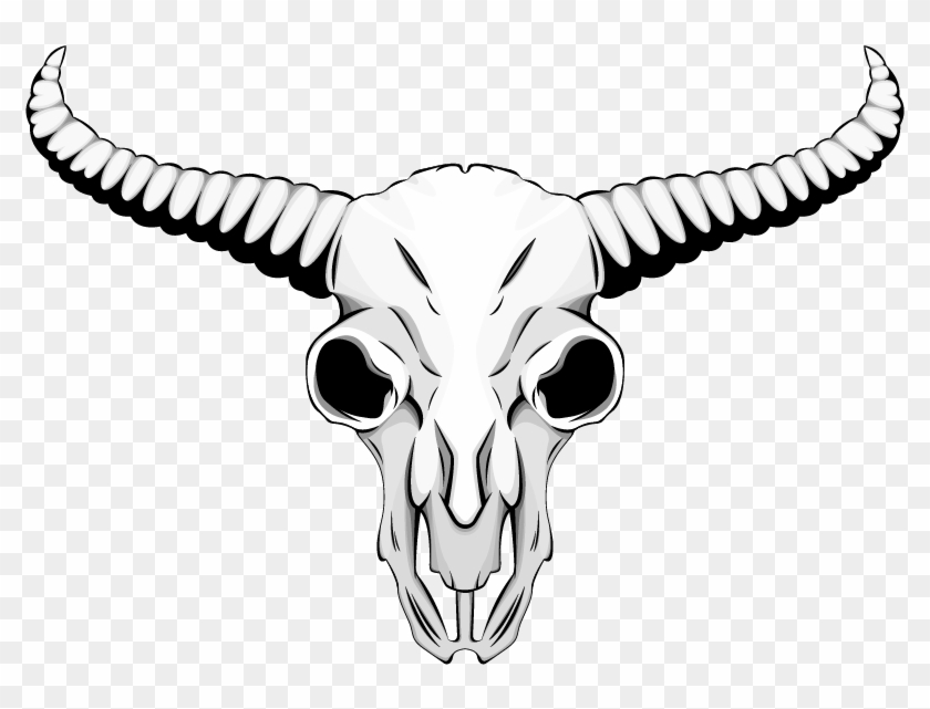 Skull , Png Download - Drawing Of Animal Skulls Clipart #2658307