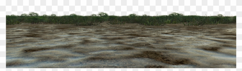 Swamp Png Clipart