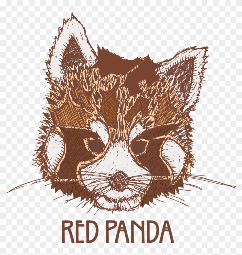 Red Panda Png Clipart