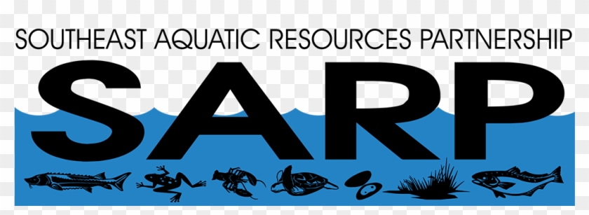 Welcome To Stream Continuity - Graphics Clipart