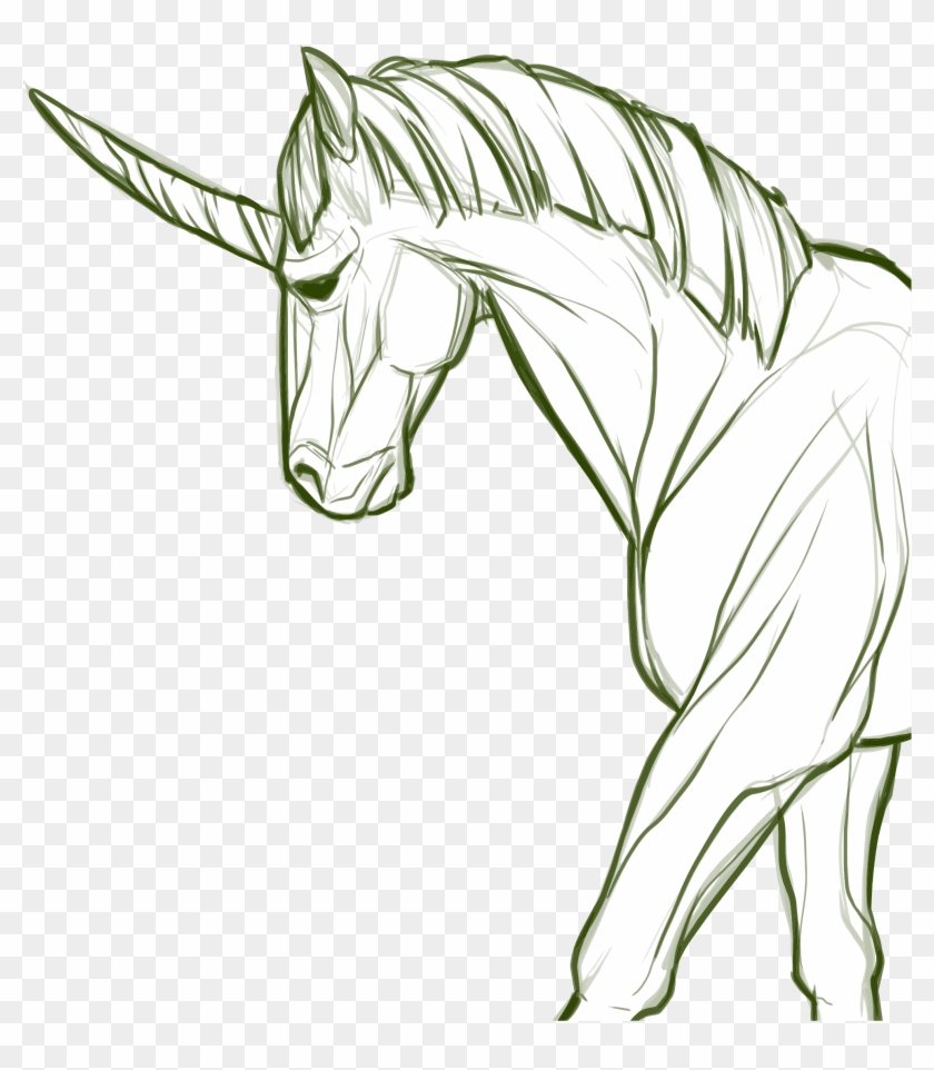 Sketsa Gambar Hewan Unicorn Images