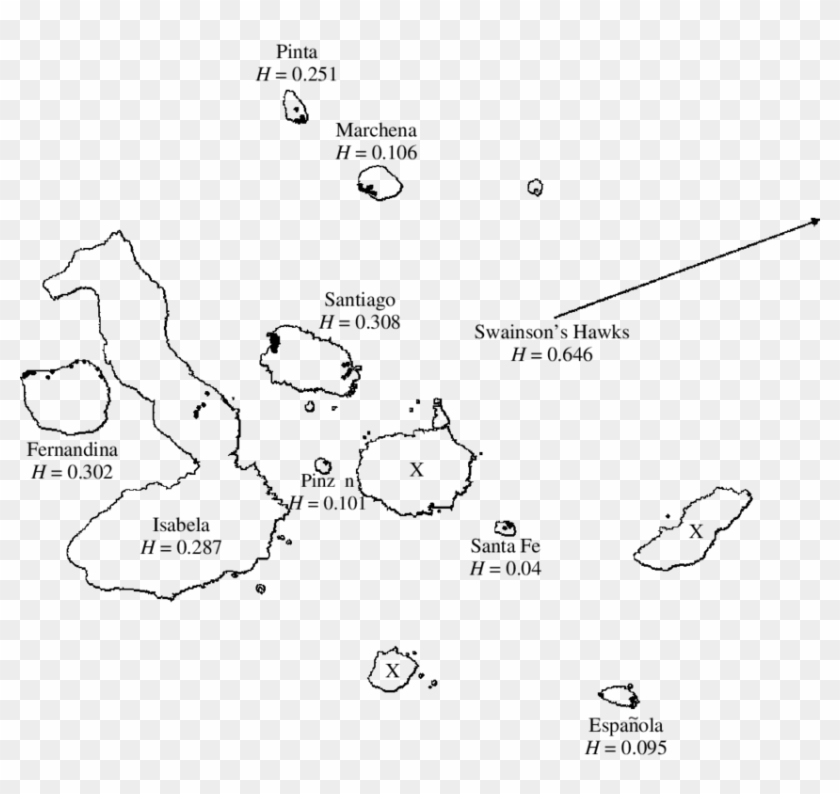 Population Drawing Line - Printable Galapagos Islands Map Clipart