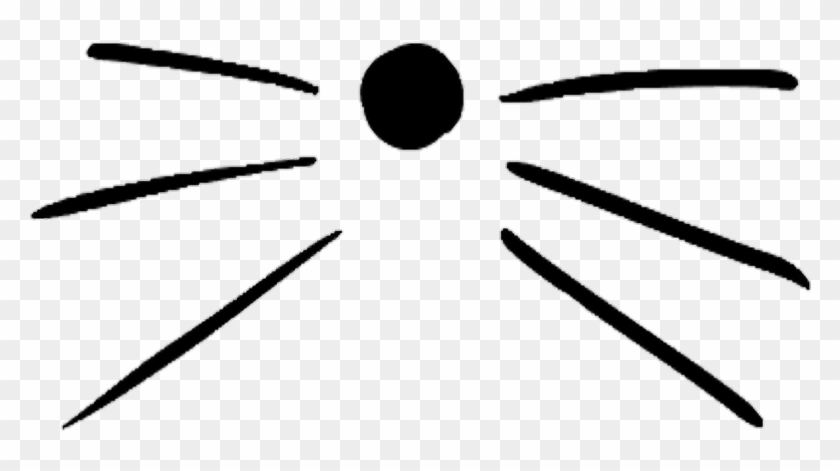 Omg I Realised There Are No Transparent Cat Whiskers - Cat Whiskers Transparent Clipart #2661974