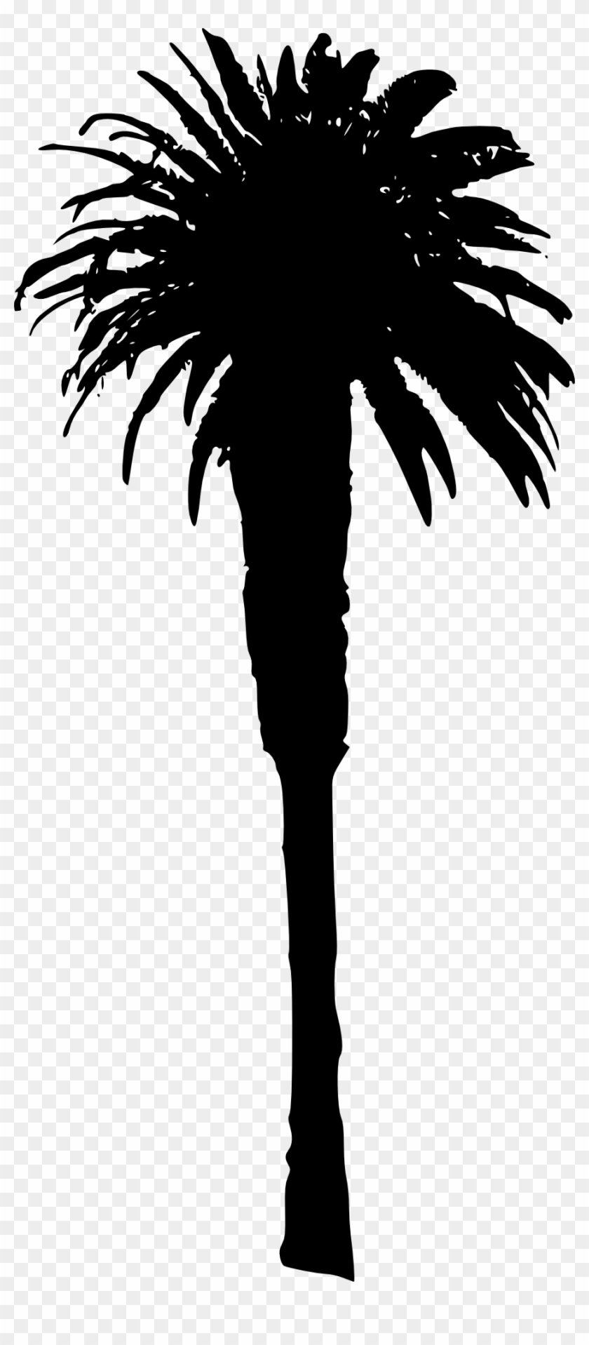 Free Download - Illustration Clipart