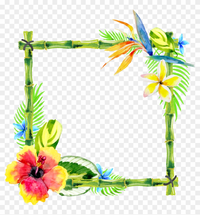 Bamboo Vector Design Border - Flower Paint Design Border Clipart
