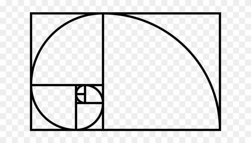 Fibonacci Spiral In Nature - Fibonacci Sequence In Nature Clipart