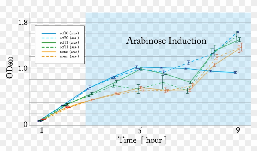 1 The Growth Curve Of The Cells Which Express Sigma - Escherichia Lb Arabinose Growth Curve Clipart #2666878