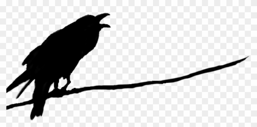 Raven On Branch Silhouette Clipart #2667525