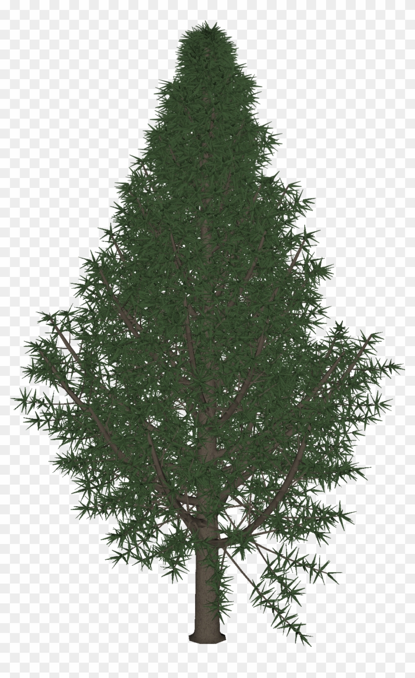 Christmas Tree In Daz Studio Format - Christmas Tree Clipart