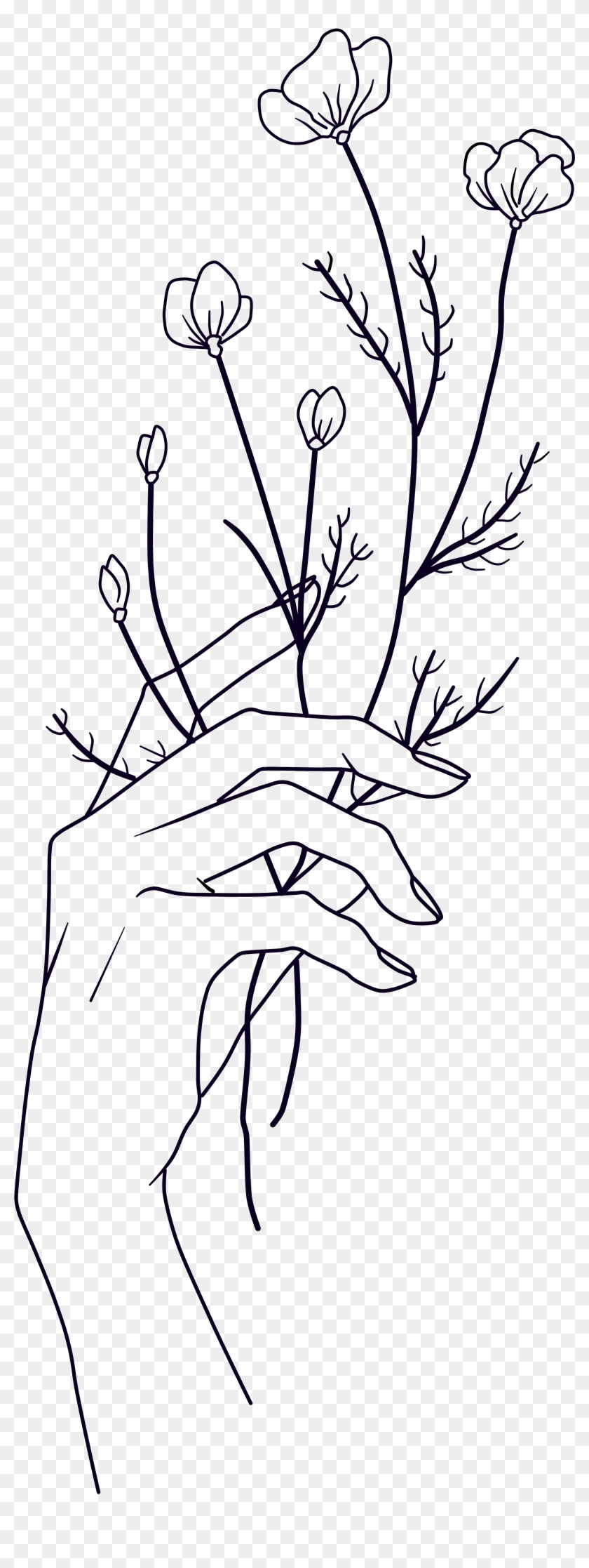 Hand Holding A Flower Drawing Clipart