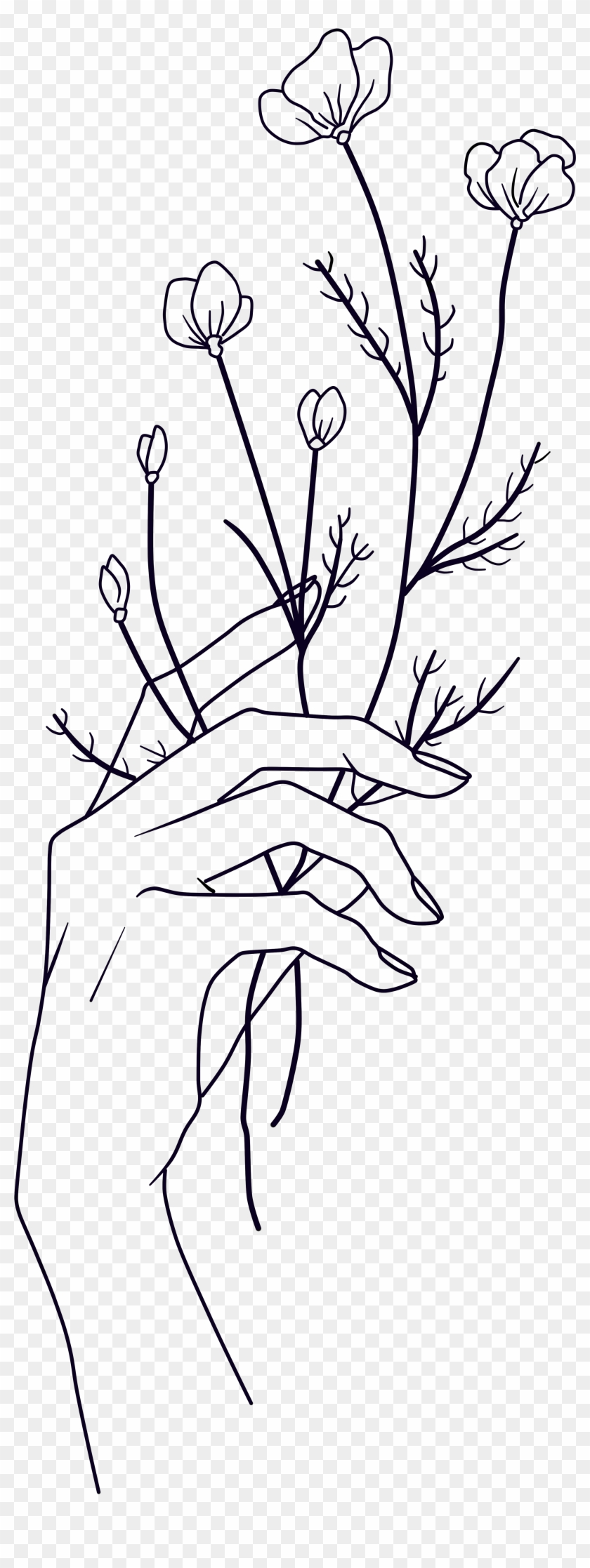 Hand Holding A Flower Drawing Clipart 2667835 Pikpng