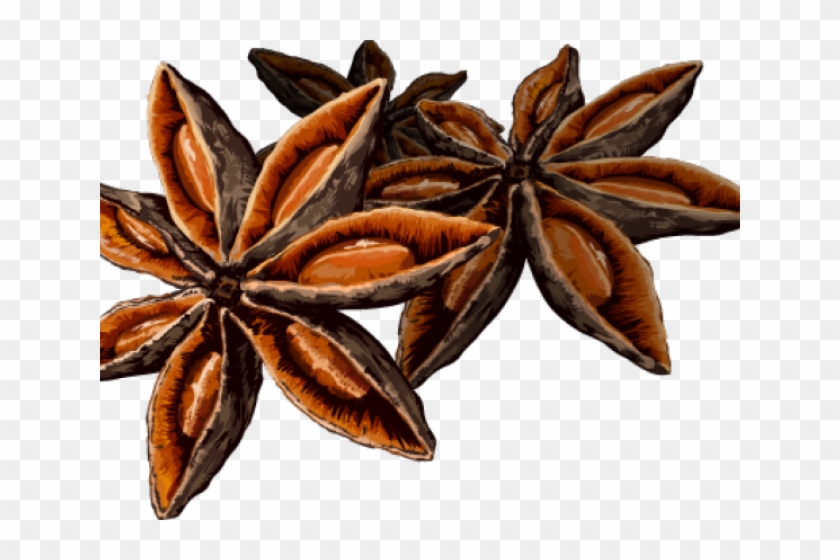 Spice Star Anise Png Clipart