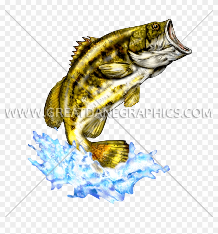 Bass Drawing Large - Largemouth Bass Clipart #2670075