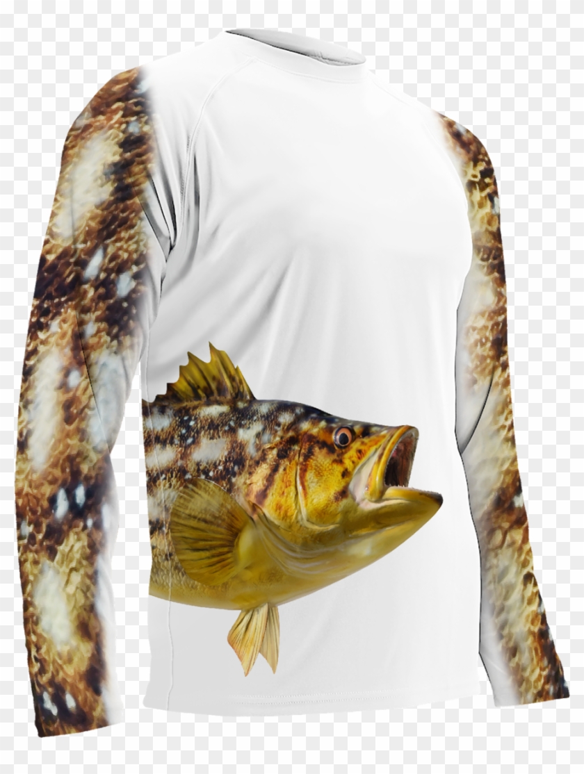 Cichla Clipart #2670115