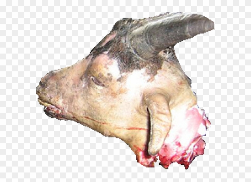 Goat Head - Boar Clipart