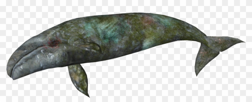 Zt2 Download Library Whales , Png Download - Bowie Knife Clipart #2670663