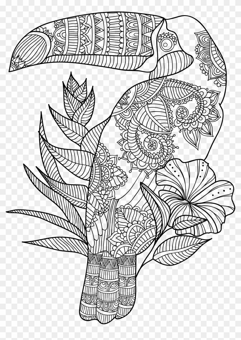 Animal Adult Coloring Pages   Zentangle Toucan Coloring Pages ...