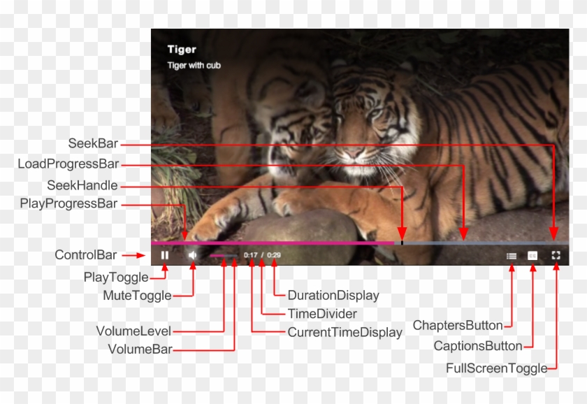 Components Playback - Siberian Tiger Clipart #2672669