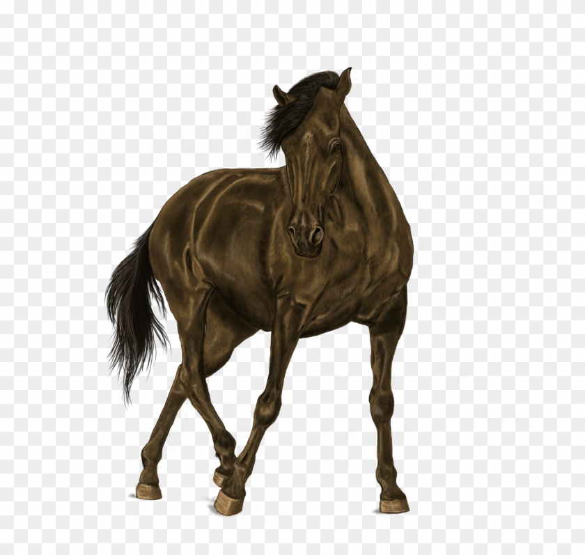 You Shall Find Those, Not Only From Mexico, But From - Digital Art Clipart #2673184