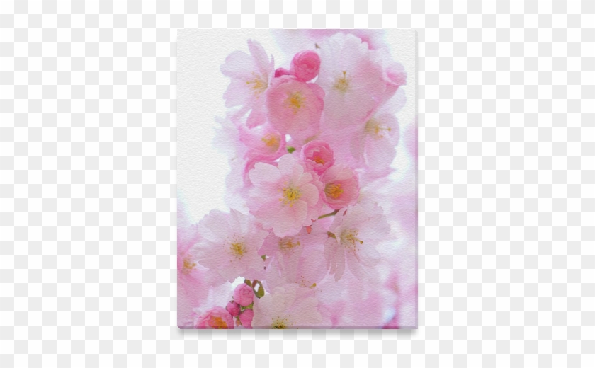 Beautiful Pink Japanese Cherry Tree Blossom Canvas - Cherry Blossom Clipart #2674217