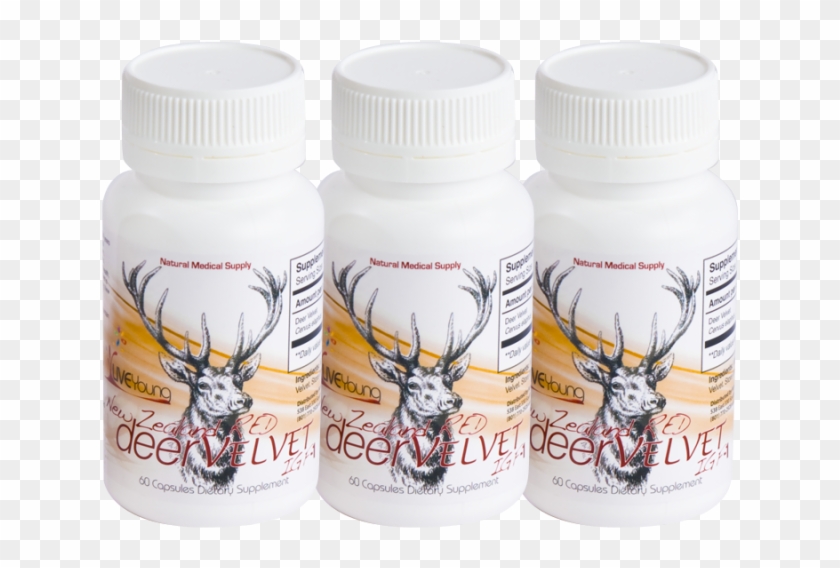 Image - Graphic Ornaments Clipart