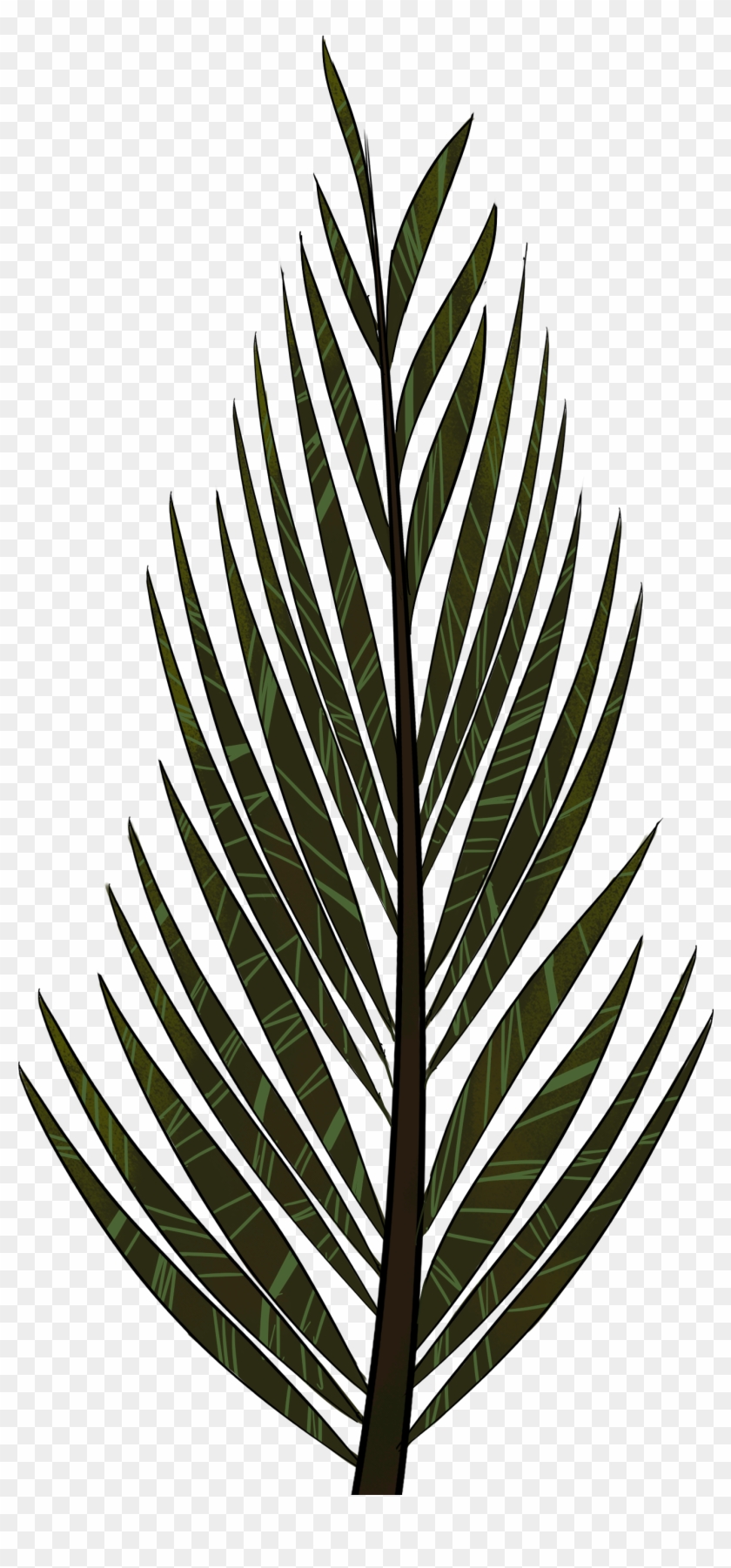 Pine Tree Clipart Fern Tree - Portable Network Graphics - Png Download
