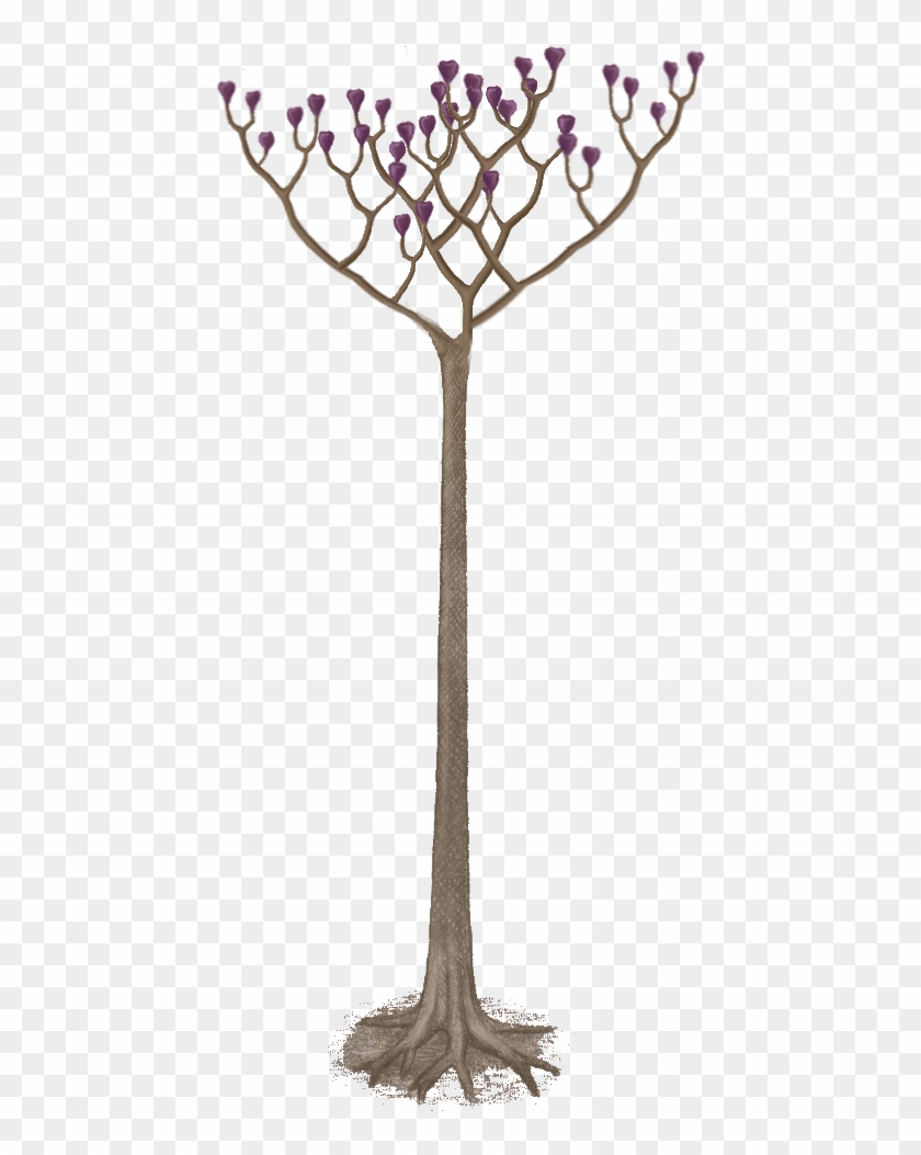 Leafless Tree Png - Twig Clipart