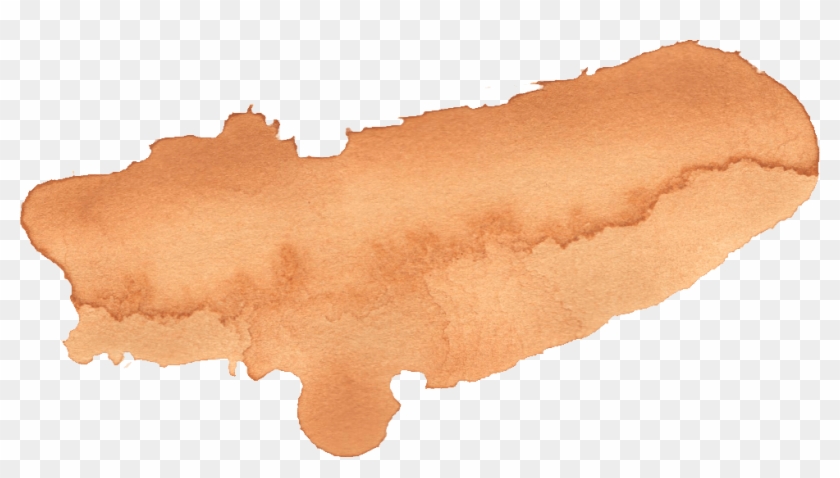 24 Brown Watercolor Brush Stroke Png Transparent - Flatworm Clipart #2678674