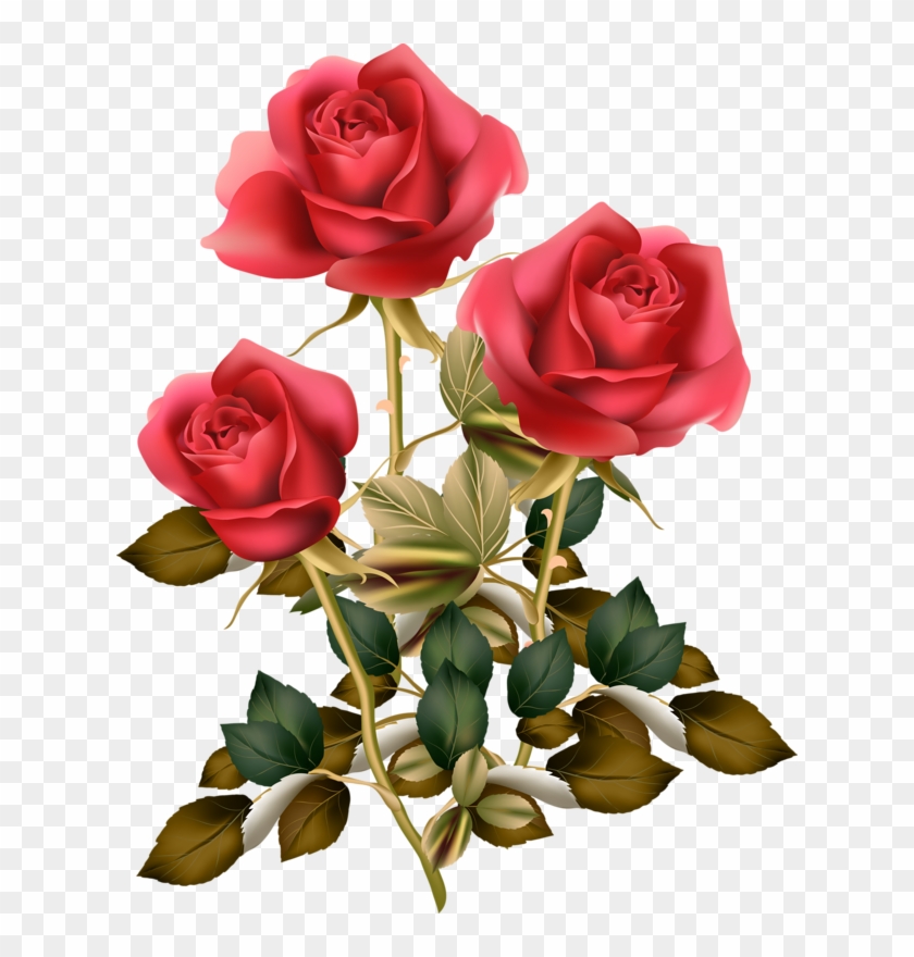 Фотки Red Rose Png, Red Roses, Rose Pictures, Pictures - Flower Good Morning Roses Clipart