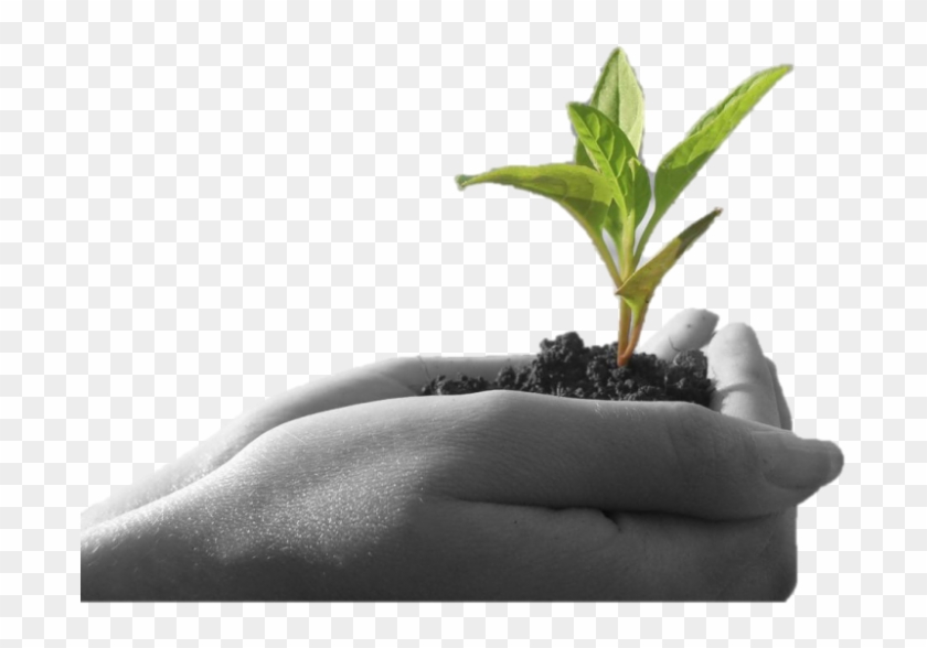 Leave A Reply Cancel Reply - Agriculture Png Clipart #2680293