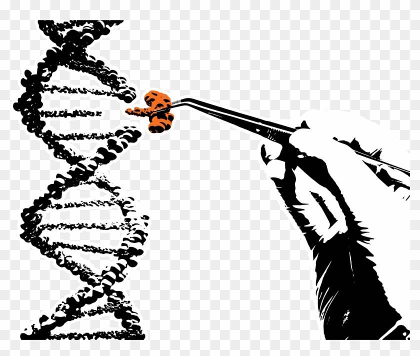 Impact Of Genomics On Insurers - Cancer Genetics Clipart