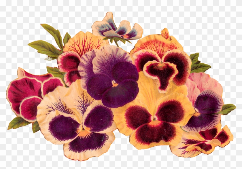 Pansies Flowers Download Image - Pansy Clipart #2681132