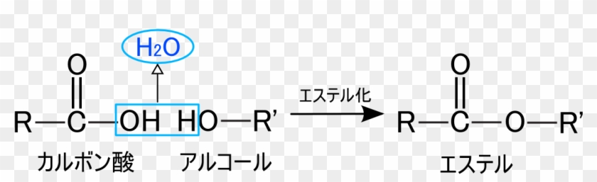 エステル 結合 Clipart #2681233