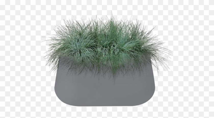 Home > Collection > Pure Cone Long - Grass Clipart