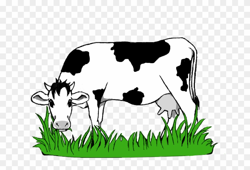 Png Black And White Stock Collection Of Cow High Quality - Cow Eating Grass Clipart Black And White Transparent Png