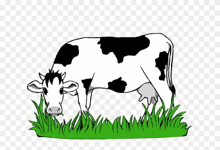 Png Black And White Stock Collection Of Cow High Quality - Cow Eating Grass Clipart Black And White Transparent Png #2686211