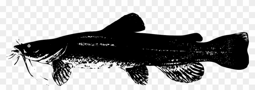 Catfish Fish Animal - Gambar Vektor Ikan Gabus Clipart #2687076